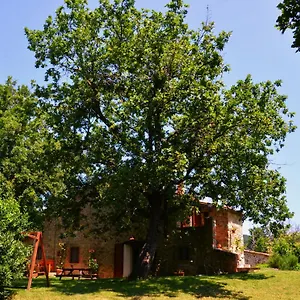 Frühstückspension Il Venaio, Massa Marittima